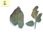 Photo 2.JPG