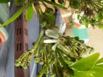 20130618_120952.jpg