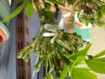20130618_120953.jpg