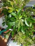 20130618_121124.jpg