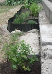 DSCF2479.jpg