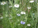 DSC01200.JPG