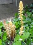 DSC01224.JPG