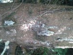 2013-06-21 11.29.56.jpg