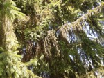 2013-06-21 11.27.59.jpg