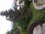2013-06-21 11.55.06.jpg