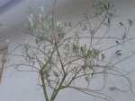 20130621_221611.jpg