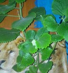 20130622_223120-1-1.jpg