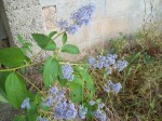 101_3170 b.JPG