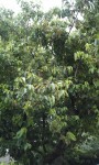 IMAG0382.jpg