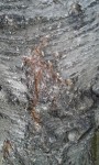 IMAG0385.jpg