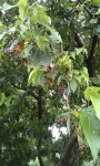 IMAG0383.jpg