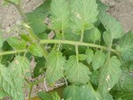 DSCF2806.JPG