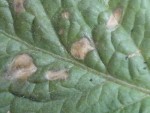 DSCF2816.JPG