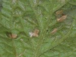 DSCF2818.JPG
