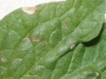 DSCF2826.JPG