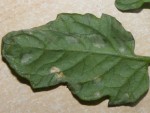 DSCF2831.JPG