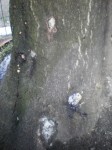 IMGP0289.JPG