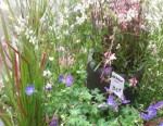 2013-06-29-12.23.54.jpg