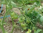 DSC01764.JPG