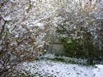 Aperçu général (jardin &lt;100 m²)