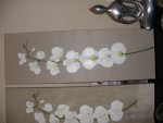 Des orchidées