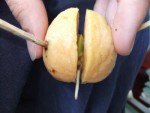 avocat 2.jpg