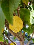 DSCN2273.JPG
