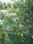 2013-07-15 20.10.04.jpg