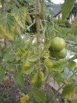 WP_001199 v2.jpg
