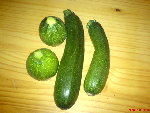 courgettes