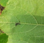 20130723_120539.jpg