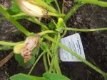 20130723_120554.jpg