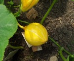 20130723_120434.jpg