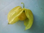 DSC00862.JPG