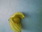 DSC00861.JPG