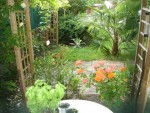DSC03587.jpg