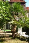 DSC08677.jpg