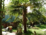 DSC00905.jpg