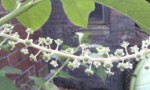 IMAG0956.jpg