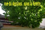 vu d'en dessous.