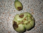 DSCF3747.JPG