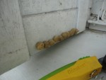 DSC03240.JPG