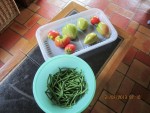 2013-07-31 récolte x.jpg