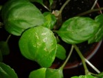 2013-08-01 18.50.09.jpg