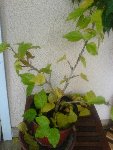 DSC00120.JPG