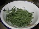 repas de midi.jpg