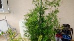 WP_20130808_002.jpg