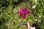 DSC01492.jpg