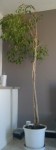 2013-08-12-719_1.jpg